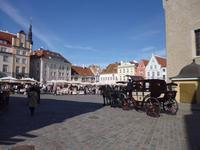Estland_Tallin_Markt (2) &ndash; &copy; Andreas Höhn (Eberhardt TRAVEL)