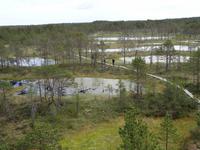 Lahemaa-Nationalpark  &ndash; &copy; Hans-Joachim Trutz (Eberhardt TRAVEL)