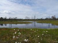 Lahemaa-Nationalpark  &ndash; &copy; Hans-Joachim Trutz (Eberhardt TRAVEL)