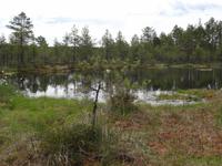 Lahemaa-Nationalpark  &ndash; &copy; Hans-Joachim Trutz (Eberhardt TRAVEL)