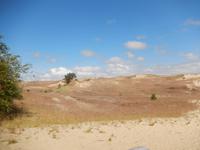 die toten Dünen auf der kurischen Nehrung &ndash; &copy; Nicole Fischer (Eberhardt TRAVEL)