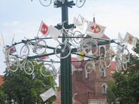 der Fahrradbaum  &ndash; &copy; Annett Seese (Eberhardt TRAVEL)