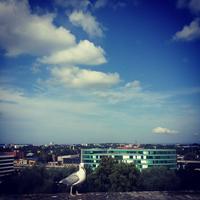 Tallinn Panorama &ndash; &copy; Eugenie Kralyuk (Eberhardt TRAVEL)