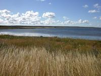 Blick auf Saaremaa &ndash; &copy; Marcus Richter (Eberhardt TRAVEL)