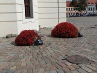 in Kaunas &ndash; &copy; Mario Scheinert (Eberhardt TRAVEL)