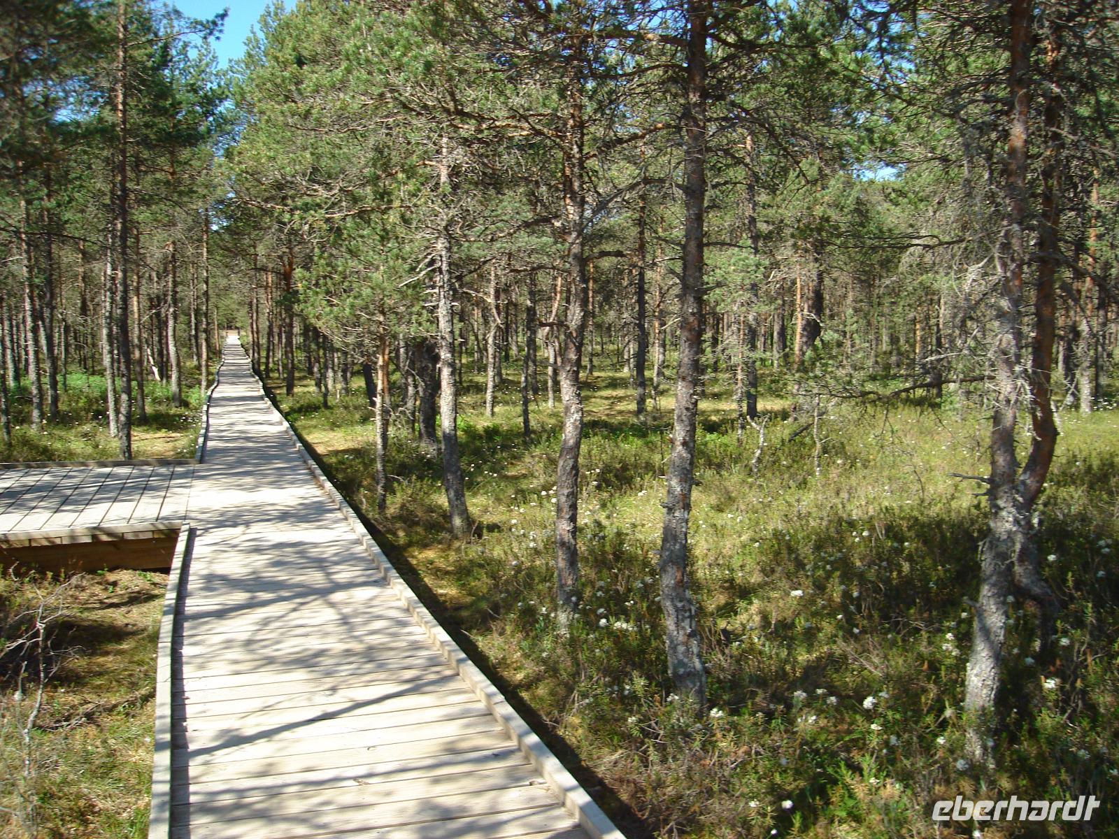 Lahemaa Nationalpark &ndash; &copy; Inge Bily (Eberhardt TRAVEL)