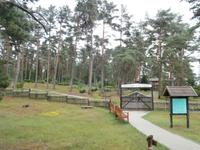 Kurische Nehrung-Nida Friedhof &ndash; &copy; Ingrid Langer (Eberhardt TRAVEL)
