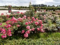 Schloss Rundale bei Riga &ndash; &copy; Ingrid Langer (Eberhardt TRAVEL)