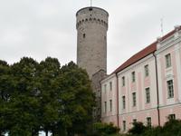 Tallinn-Turm Langer Hermann &ndash; &copy; Ingrid Langer (Eberhardt TRAVEL)