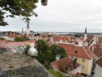 Tallinn &ndash; &copy; Ingrid Langer (Eberhardt TRAVEL)
