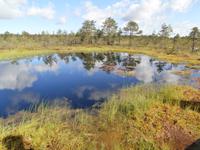 Lahemaa-NP Estland &ndash; &copy; Ingrid Langer (Eberhardt TRAVEL)