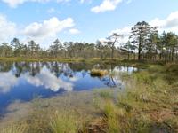 Lahemaa-NP Estland &ndash; &copy; Ingrid Langer (Eberhardt TRAVEL)
