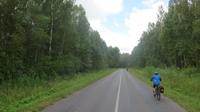 Windschutz im Wald...