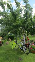 Im Garten bei einer einheimischen Familie... &ndash; &copy; Joscha Koob (Eberhardt TRAVEL)