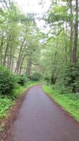 Auf dem Radweg über die Kurische Nehrung