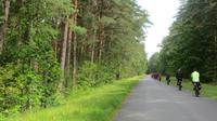 Und über ruhige Straßen durch den Wald... &ndash; &copy; Joscha Koob (Eberhardt TRAVEL)