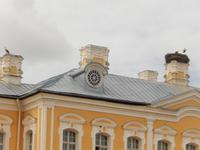 Schloßbewohner Rundale &ndash; &copy; Kathrin Mickan (Eberhardt TRAVEL)