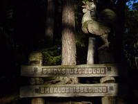 im Märchenwald &ndash; &copy; Inge Bily (Eberhardt TRAVEL)