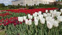 Barockschloss Rundale &ndash; &copy; Kristina Hesse (Eberhardt TRAVEL)