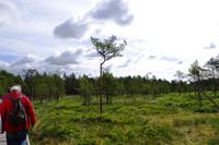 Lahemaa Nationalpark &ndash; &copy; Annett Müller (Eberhardt TRAVEL)