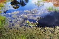 Lahemaa Nationalpark &ndash; &copy; Annett Müller (Eberhardt TRAVEL)