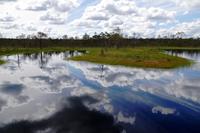 Lahemaa Nationalpark &ndash; &copy; Annett Müller (Eberhardt TRAVEL)