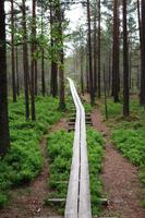Lahemaa Nationalpark &ndash; &copy; Annett Müller (Eberhardt TRAVEL)