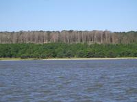 Kurische Nehrung &ndash; &copy; Alexander Zachow (Eberhardt TRAVEL)