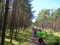 Kurische Nehrung &ndash; &copy; Alexander Zachow (Eberhardt TRAVEL)