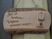 Richtung Pärnu