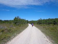Insel Saaremaa