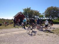 Insel Saaremaa