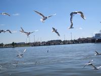 Überfahrt Nehrung &ndash; &copy; Kerstin Veit (Eberhardt TRAVEL)
