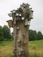 Bruthotel &ndash; &copy; Kerstin Veit (Eberhardt TRAVEL)