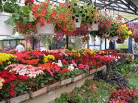 Markt Riga &ndash; &copy; Kerstin Veit (Eberhardt TRAVEL)