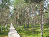 Moor NP