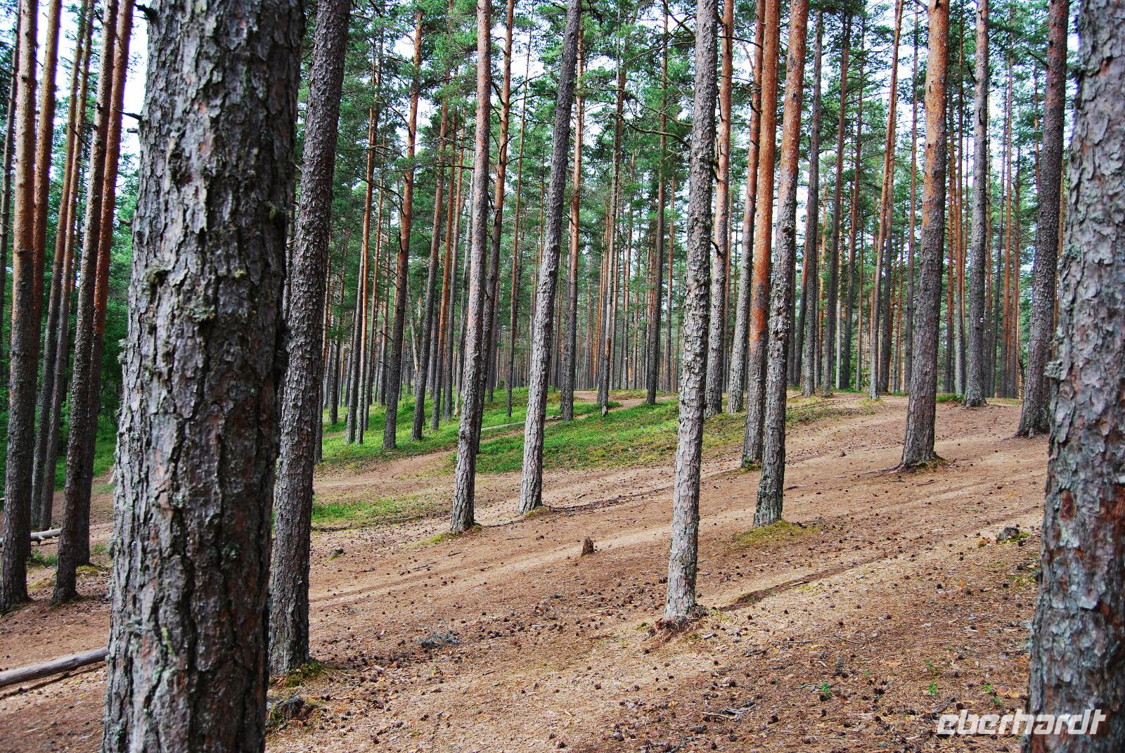Lahemaa-Nationalpark &ndash; &copy; Eric Richter (Eberhardt TRAVEL)
