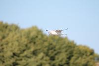 IMG_5939