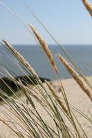 IMG_5992 &ndash; &copy; Kathrin Kubik (Eberhardt TRAVEL)
