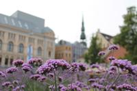 IMG_6070 &ndash; &copy; Kathrin Kubik (Eberhardt TRAVEL)