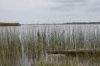 IMG_6186