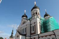 IMG_6338
