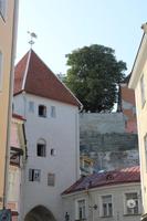 IMG_6355
