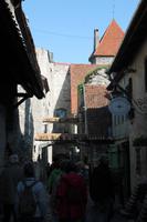 IMG_6376