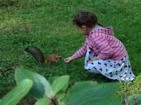 Eichhörnchen &ndash; &copy; Uta Schöne (Eberhardt TRAVEL)