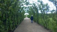 Schloss Rundale  &ndash; &copy; Gisela Gerlach (Eberhardt TRAVEL)