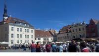 Tallin, Stadtführung, Rathausplatz &ndash; &copy; Gisela Gerlach (Eberhardt TRAVEL)
