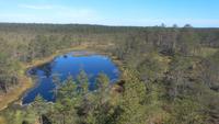 Ausflug in den Lahemaa-Nationalpark &ndash; &copy; Gisela Gerlach (Eberhardt TRAVEL)