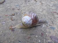 DSCN0869 &ndash; &copy; Kerstin Veit (Eberhardt TRAVEL)