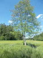 DSCN0872 &ndash; &copy; Kerstin Veit (Eberhardt TRAVEL)